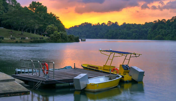 MacRitchie Reservoir in Singapore