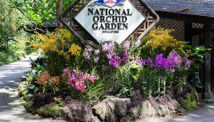 National Orchid Garden in Singapore