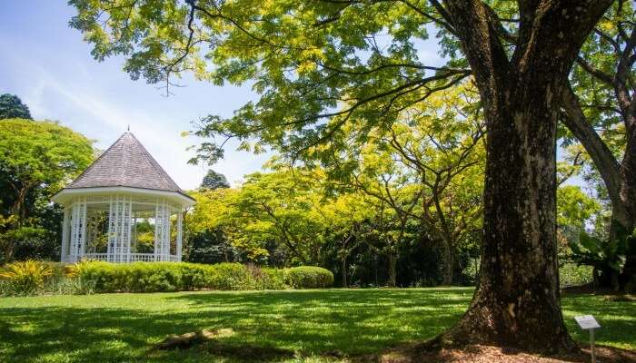 The picturesque view of the Botanical Gardens