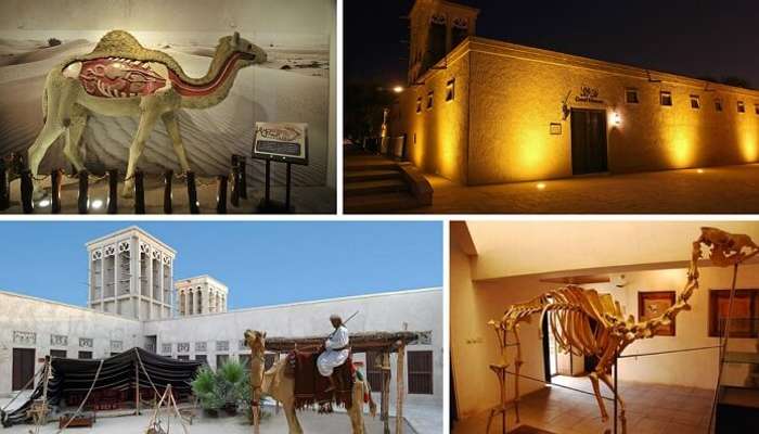 Free places to visit in Dubai include the Camel Museum