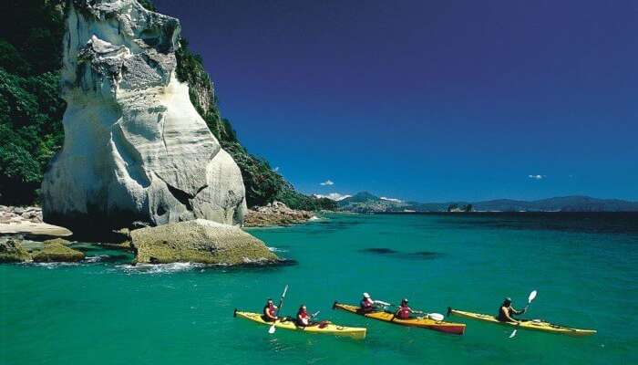 Honeymoon In New Zealand 2021: 12 Selected Destinations To Visit