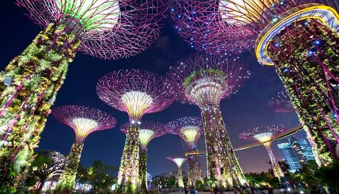 the beautiful gardens by the bay