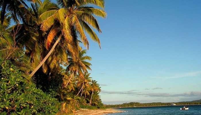 Honeymoon In Fiji Guide Travel Triangle