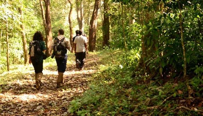 A couple joins a group for nature walking in Thekkady