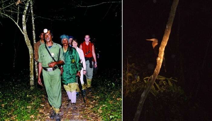 Patrollers on the night patrol inside the Periyar Tiger Reserve