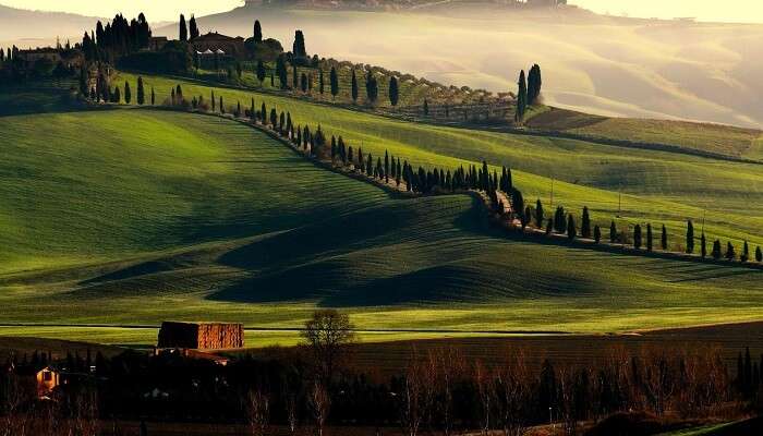 The vast expanse of greenery at Tuscany