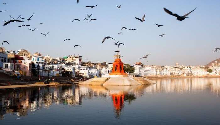 Birds flock away from the Pushkar Lake on a fine evening