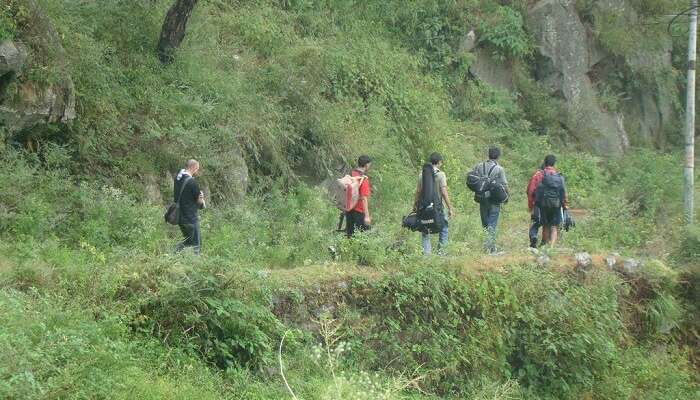 Trekkers take one of the trekking tours in Kasauli