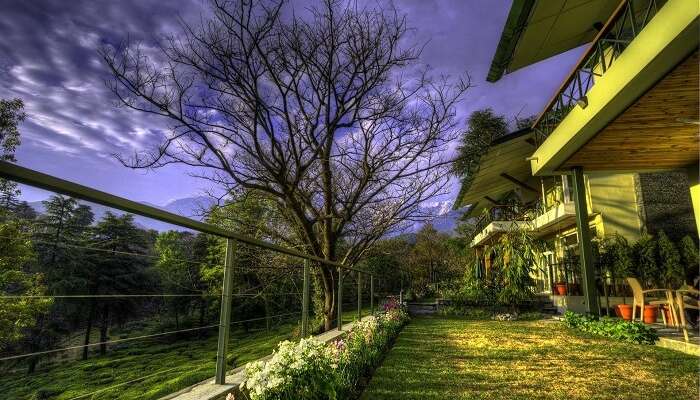 10 Best Resorts In Himachal For A Reviving Holiday Experience