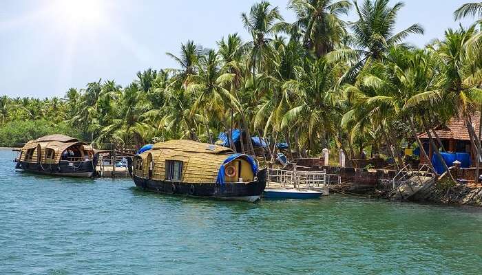 Les superbes paysages entourant les péniches à Alleppey 