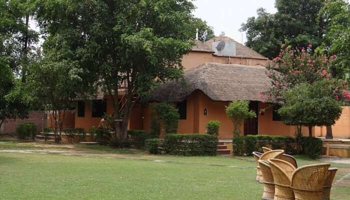 25 Best Resorts In Jim Corbett Savor The Grandeur Of Nature