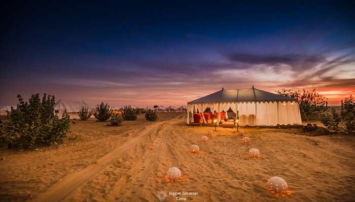 Exotic luxury desert camping in Rajasthan