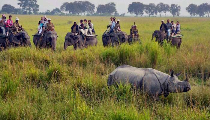 Tourists at Kaziranga National Park