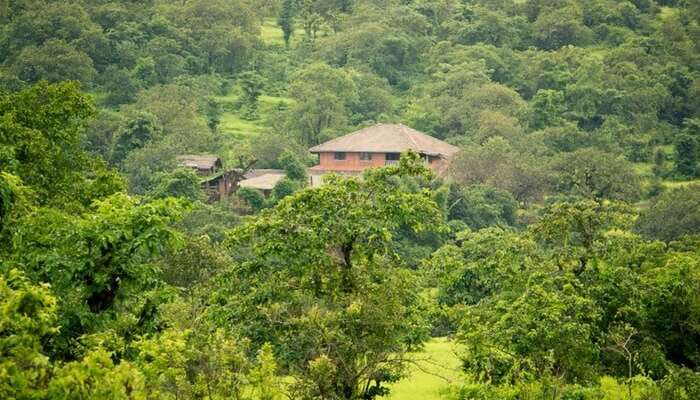 Farm Of Happiness is nestled in the jungle of Ratnagiri in Maharashtra