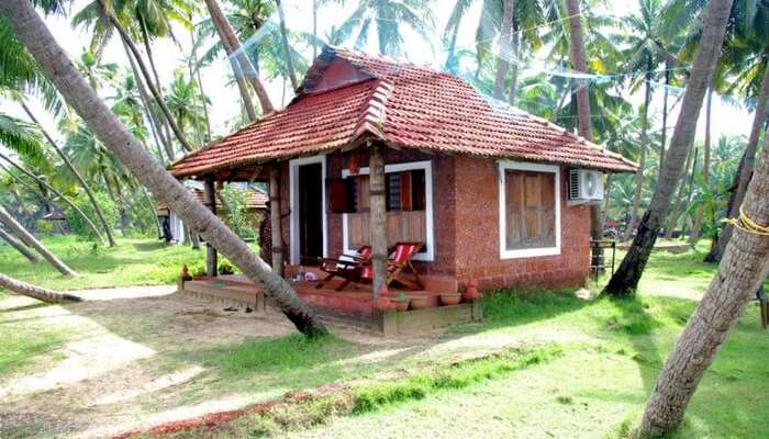 A picturesque cottage of Oyster Opera farmstay surrounded by coconut trees