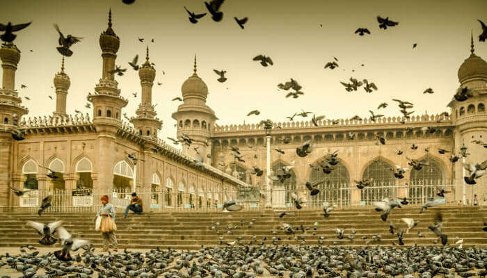 Men feeding pigeons in front of Mecca Masjid in Hyderabad