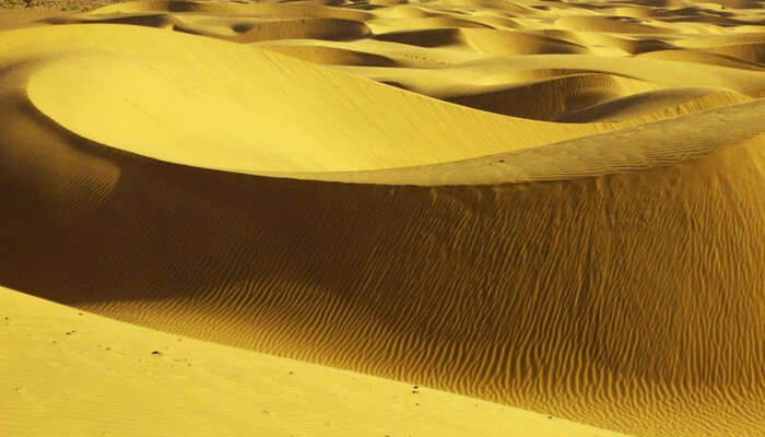 A close view of Sam Sand Dunes in Jaisalmer