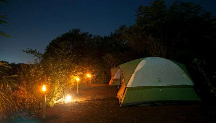 14++ Night Camping Near Mumbai