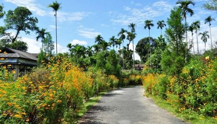 Mawlynnong: Visit The Cleanest Asian Village 