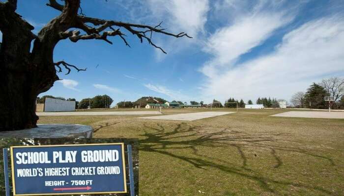 A signboard with Chail Cricket Ground in the background