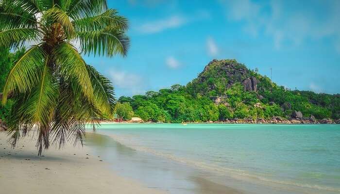 Honeymoon In Seychelles In 2020 Places To Visit Things To Do