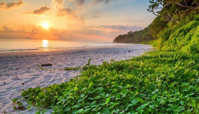 A List Of 20 Best Beaches In Andaman Nicobar Islands