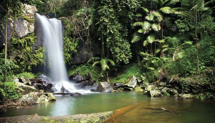 View of a waterfall in Gold Coast in Australia