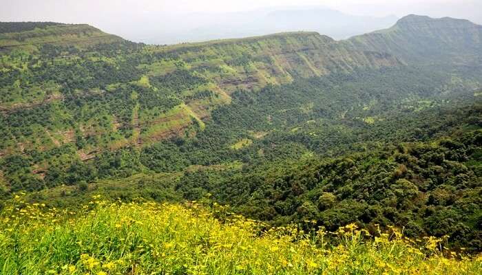 lush green mountains of Matheran, Maharashtra