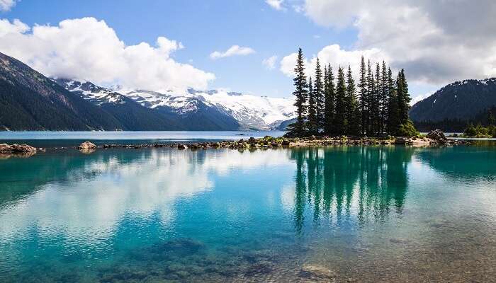 whistler