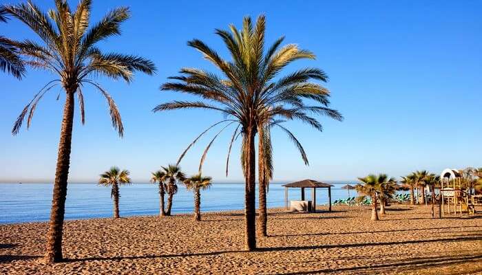 Naked Euro Beach - The Best Of 9 Beaches In Barcelona
