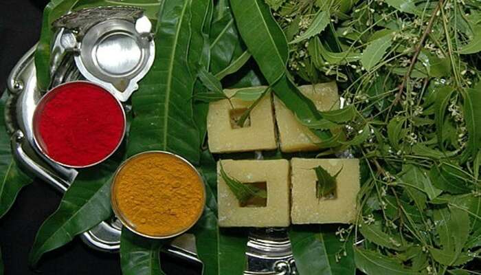 neem leaves and species for Ugadi festival