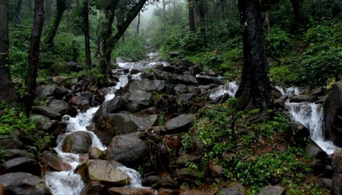 A waterfall in Chikmaglur 