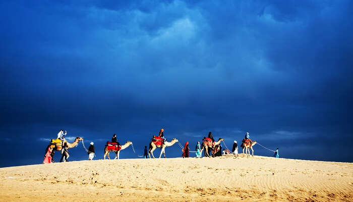 Desert Safari in Jaisalmer