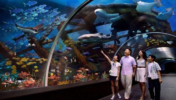 Resorts World Sentosa Guide To Top Attractions Hotels