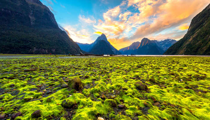 New Zealand In Pictures Capturing The Beauty Of Kiwiland