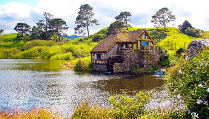 New Zealand In Pictures Capturing The Beauty Of Kiwiland