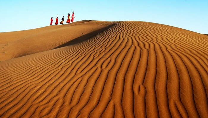 Sam sand dunes, Jaisalmer