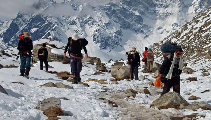 indulge in Dzongri Winter Trek