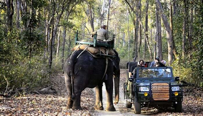 Tourists taking a safari ride in Kanha National Park