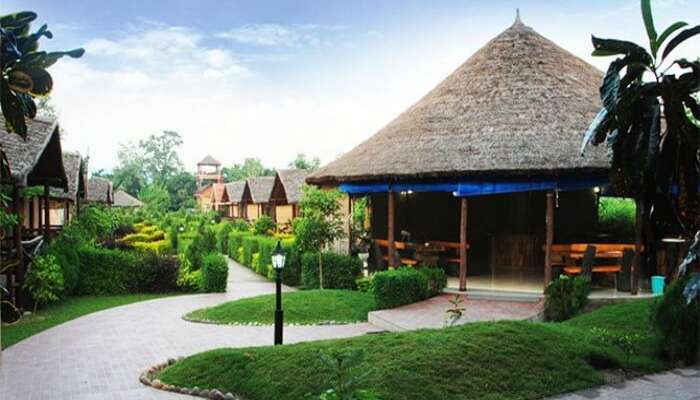 12 Budget Resorts And Hotels In Jim Corbett National Park