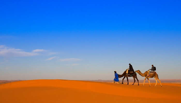 go camel riding in dubai