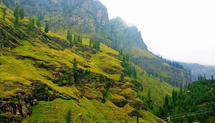 Kothi Village in Manali