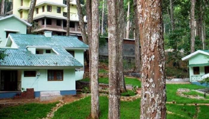 20 Lavish Cottages In Munnar For Homelike Comfort In 2020