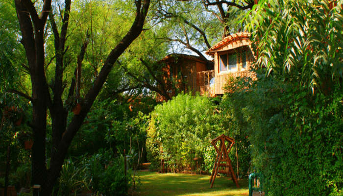 Treehouse Resorts Near Delhi For A Hushed Stay In The Hills