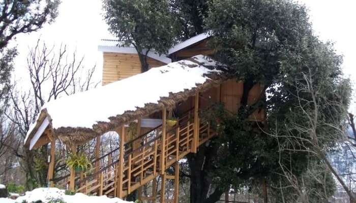 Treehouse Resorts Near Delhi For A Hushed Stay In The Hills