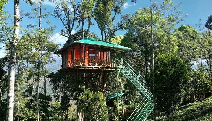 20 Lavish Cottages In Munnar For Homelike Comfort In 2020