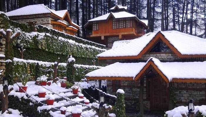 stay at a tree house in manali, among the best new year celebration ideas for couples