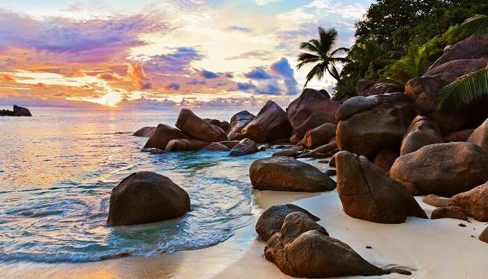 Anse Kerlan, Praslin