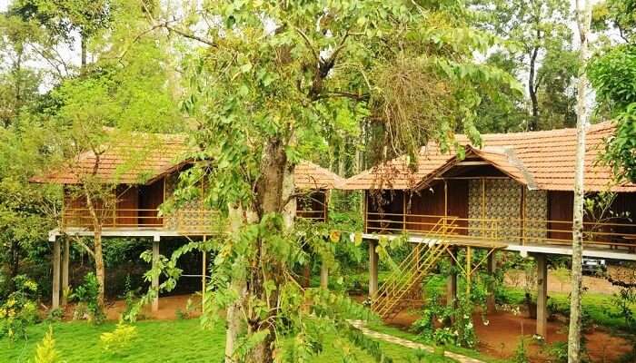 15 Tree Houses In Kerala For A Perfect Date With Nature