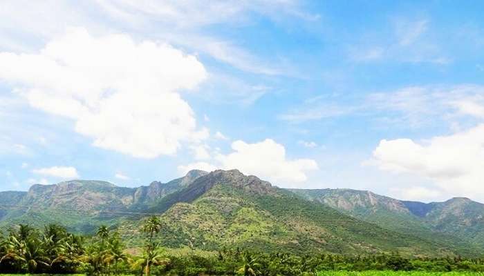 Kolli Hills A Guide To An Offbeat Paradise For A Perfect Escape
